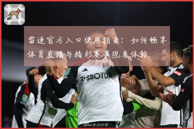 雷速官方入口使用指南：如何畅享体育直播与精彩赛事观看体验